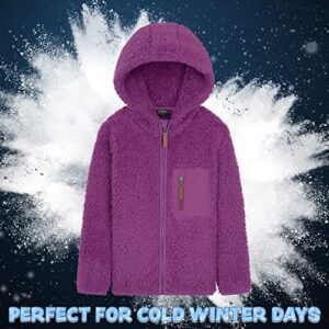 Zip Up Fuzzy Teddy Hoodie