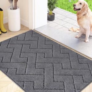 Machine Washable Entrance Rug