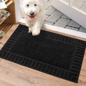 Washable Indoor Doormat TPR Non-slip
