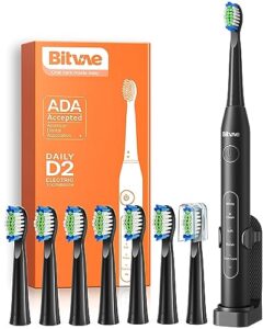 Electric Toothbrush with Rechargeable Power