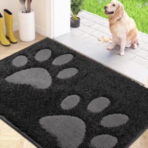 Washable Entrance Rug