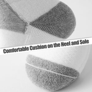 Socks Mens Multipack for Work