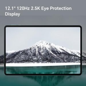 12.1-inch Wi-Fi Tablet