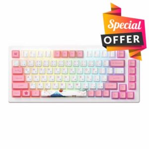 Akko MOD 007B Tokyo Mechanical Gaming Keyboard