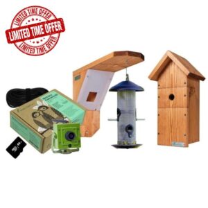 Green Feathers Bird Box and Bird Feeder Garden Wifi Camera Ki