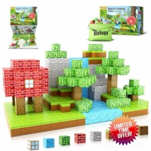 Magnetic Blocks-Build Mine Magnet World Set