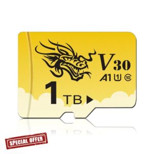 Memory Card 1TB