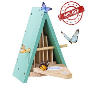 Butterfly House and Feeder