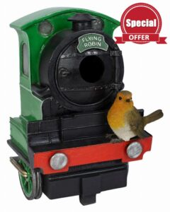 Vivid Arts - Flying Scotsman Robin Birdhouse - XBC-BH55-D