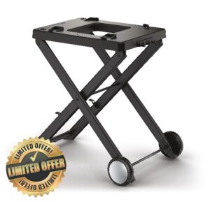 Ninja Woodfire Folding Grill Stand