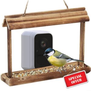 CARMOTTER Smart Bird Feeder Camera