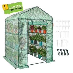 VEVOR Walk-in Green House