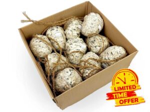 Box of 10 Chubby Mealworms Suet & Seed Pine Cones