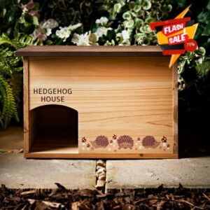 Funky Craft Hedgehog Hut - Create a Cozy Haven for Wildlife in Your Garde