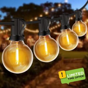 ZYRIVON Outdoor Lights Mains Powered