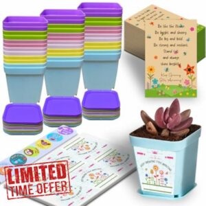 Gifts for Students from Teachers