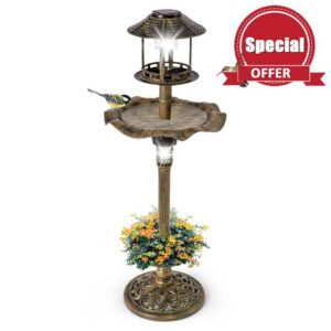 COSTWAY Bird Feeder and Bath