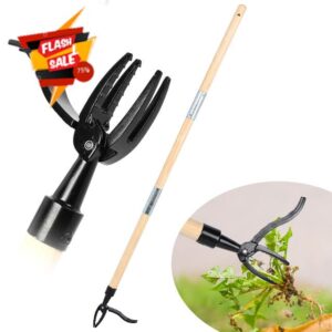 Longzhuo Standing Weeder Tool