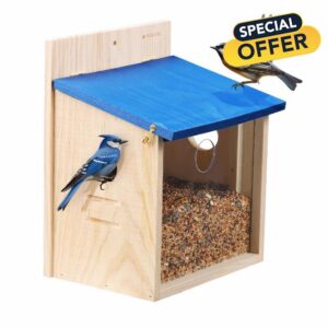 Navaris Wooden Bird Feeder House - Wall Mounted Garden Decor for Birds with Blue Roof - Outdoor Feeding Station with Exchangeable Wood and Clear Front Panels