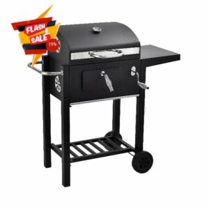 Panana Charcoal Barbecue