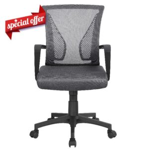 Yaheetech Dark Grey Office Chair Executive Computer Chair Ergonomic Swivel Work Chair Fabric Mesh Chair with Comfy Lumbar Back Support and Wheels for Home Students Study