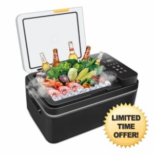 ARTETHYS Car Fridge 20L