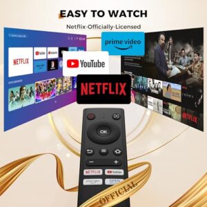 Netflix-Officially-Licensed