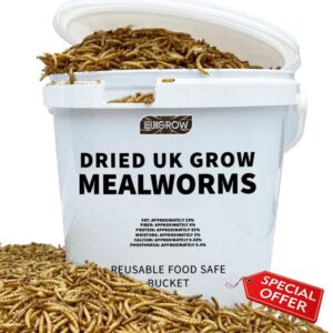 Premium Dried Mealworms in 5L