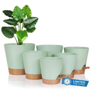 FORAGIFT Self-Watering Plant Pots Indoor