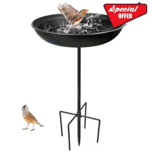 Bird Bath for Garden