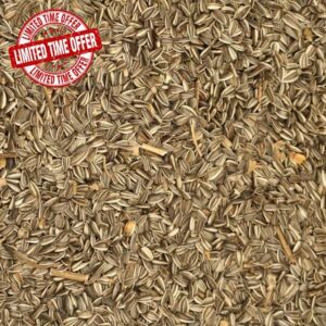 10kg Medium Striped Sunflower Seed