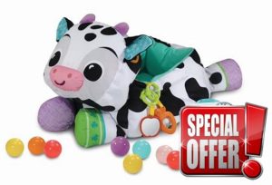 VTech Baby Moosical Activities Ball Pit