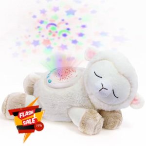 Dreamegg Baby Sleep Aid