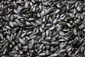 25 kg (12.5 kg x 2 Bags) (25kg)