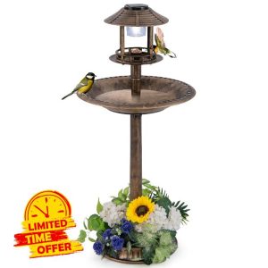 COSTWAY Bird Feeder Bath