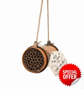 Marie Curie Solitary Bee Nesting Box for Gardens