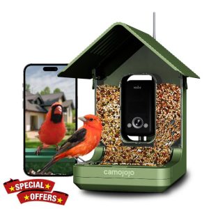 Bird Feeder with Camera of 32MP Photo & 4K Video