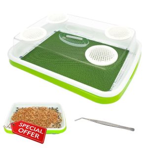 Mealworms Breeding Kit