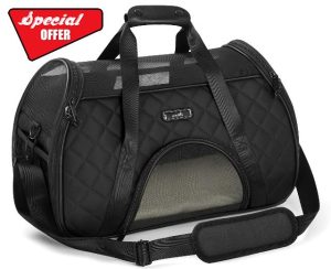 Pecute Cat Carrier