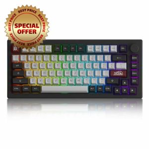 Akko Dracula Castle 5075B Wireless Mechanical Gaming Keyboard Triple Modes Gasket Mount RGB