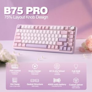 75% Gaming Keyboard Gasket Hot Swap Custom Keyboard with Knob