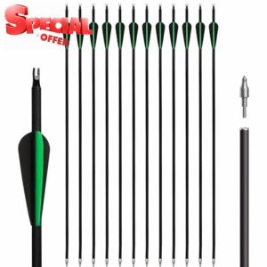 Archery Carbon Arrow Set