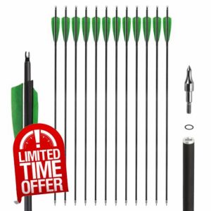 31 Inch Carbon Arrows - Archery Practice Hunting Arrows
