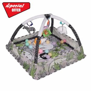 Baby Gym Play Mat