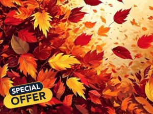 DIY Autumn Falling Leaves Paint by Numbers