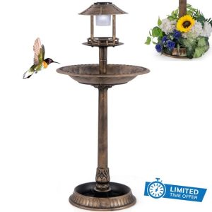 Maxmass Bird Bath Feeding Station