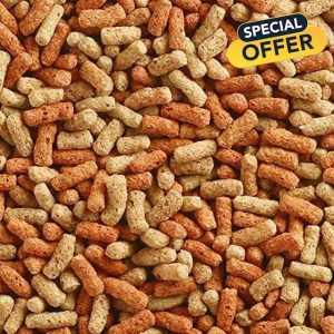 Superpet Premium Natural Pond Sticks For Koi Carp Goldfish (5kg