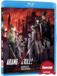 Akame Ga Kill! (Standard Edition) [Blu-ray]