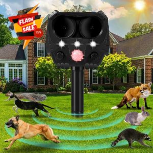 Cat Repellent Garden