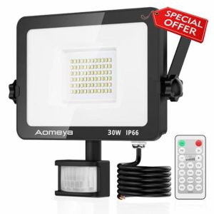 Motion Sensor Outdoor Security Light
